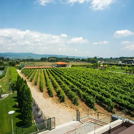 Uva Nestum Wine & Gotse Delchev