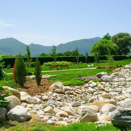 Uva Nestum Wine &