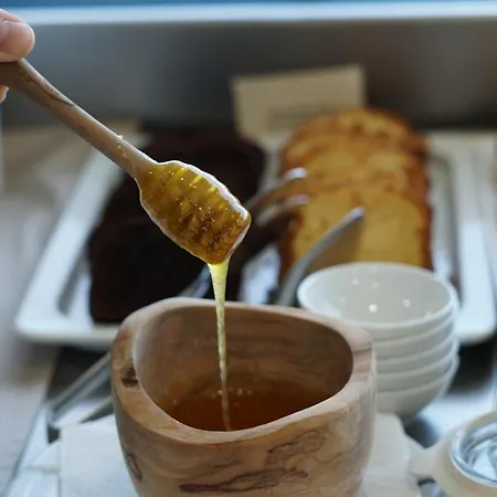 Uva Nestum Wine & Station touristique