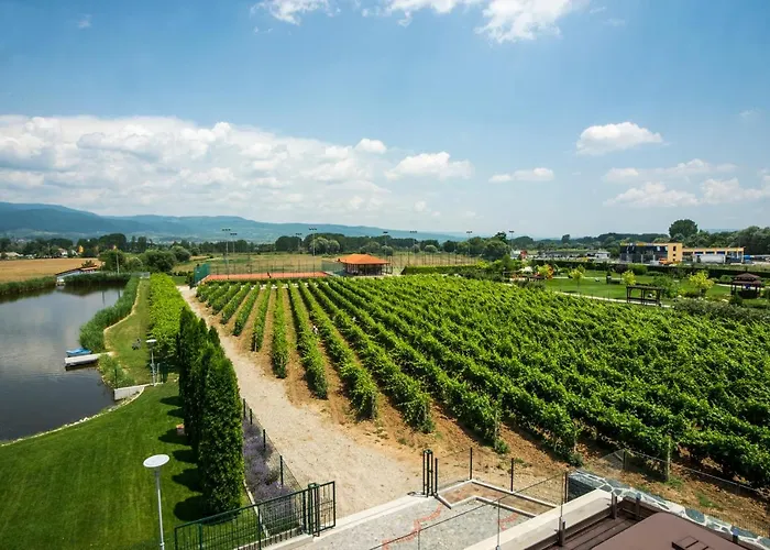 Uva Nestum Wine & Gotse Delchev